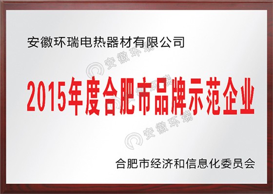 2015年度合肥市品牌示范企业