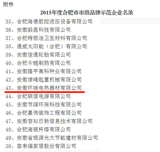 2015年合肥市品牌示范企业